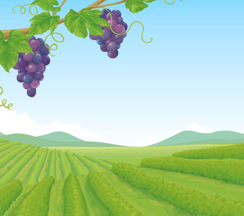 相談支援専門員